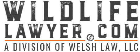 Welsh Law, LLC